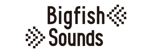株式会社Bigfish